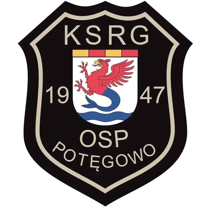 Tragedia w Nisku: dwóch strażaków zginęło podczas akcji. Hołd o 18:00