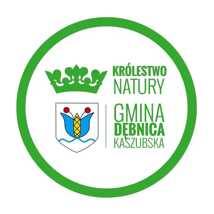 Pasowanie na Jelonka w żłobku w Dębnicy Kaszubskiej – bajkowa przygoda maluszków