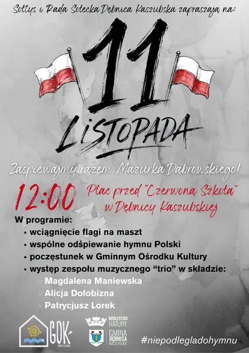 Dębnica Kaszubska: Wspólne śpiewanie hymnu z okazji Święta Niepodległości